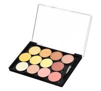 VICASKY Magnetic Eyeshadow Palette Empty Makeup Palette Case Brush for Women Sturdy Plastic Space-saving Design