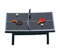 VICASKY Miniature Table Tennis Set 5pcs Dollhouse Accessory with Table, Paddle Pair, and 2 Balls - Portable Mini Ping Pong and Dollhouse Decor