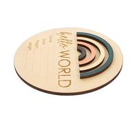 VICASKY Name Sign Card for Newborns Rainbow Growth Record Disc Photo Props for Capturing First Year Memories