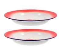 VICASKY Plates and Well Finished Edging Enamel Vintage with Hard Finish 2pcs Decorative Kitchen Dinner Plates Retro Style Flower Pattern for Bar and Food Serving for