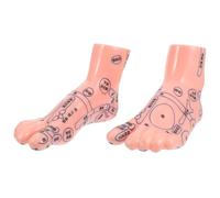 VICASKY Realistic Foot Model for Massage Therapy Teaching and Display Detailed Human Reflexology Structure Educational Tool for Home School and Medical Training
