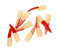 VICASKY Realistic Witch Nails Multi-function Halloween Props Prosthetic Finger Cots for Women's Dress
