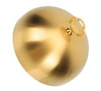 VICASKY Stainless Steel Food Dome Cover Food Protective Cover 20cm Golden Dome Shape Delicate Smooth Edge Easy to Handle Household Kitchen Use