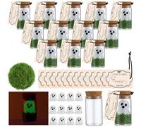 Vicenpal 12 Sets 37 Pcs Adopt A Ghost In Vial Jar Bottle Gifts Bulk Ghost Glow In The Dark Cute Gothic Spooky Halloween Adoption Gift Set for Women Men Stories Spooky Movies Halloween Decoration Lover