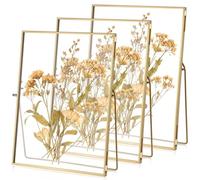 Vicenpal 3 Pack Glass Pressed Flower Frame Handmade, 6 x 8 Floating Picture Frames for Pressed Flowers, Brass Double Glass for Tabletop Display, Home Office Plant Specimen, Photos(Gold)