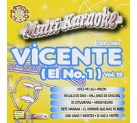 Vicente Fernandez - Karaoke: Vicente Fernandez 12