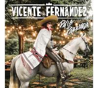 Vicente Fernandez - Pa La Parranda