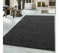viceroy bedding NIZZA Modern Rugs Living Room Carpet Mat For Bedroom Large Area Rug Hallway Kitchen Extra Large Size Short Pile Flat Weave (160cm x 230cm (5.5ft x 7.5ft), Black)