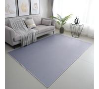 viceroy bedding PLAIN NON SLIP Modern Rugs Living Room Carpet Mat For Bedroom Large Area Rug Hallway Kitchen Extra Large Size Low Pile Flat Weave (Silver, 120 x 170 cm)