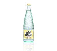 Vichy Catalan - Sparkling Mineral Water - 33.8 oz (1 Liter) (12 Glass Bottles)