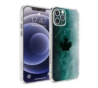 VICLASBISKIY Phone Case Rainbow Compatible with iPhone 13 Pro Max Case Six Black Ice Siege Side Striped Soft Phone Cover