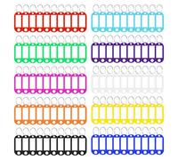 Vicloon Key Tags with Labels, 100 PCS Key Tags with Split Ring, Sturdy & Durable Plastic Key Fobs Easy to Read, Key Fobs Labels ID Keyring Tags for Luggage Pet Name Tags, 10 Colors