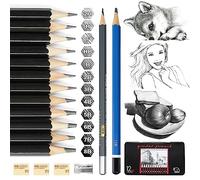 Vicloon Professional Sketch and Drawing Pencils Set, 14 Pcs Sketching Pencils Art Pencil with 3 Pcs Erasers and 1 Pc Sharpeners for Beginners, Kids or Professional Artist