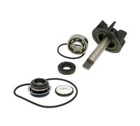 VICMA 8000 Repair Kit, water pump