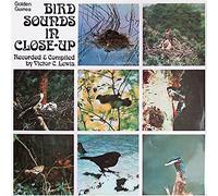 Victor C. Lewis - Bird Sounds In Close Up