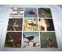 VICTOR C LEWIS Bird Sounds in Close-Up vinyl LP