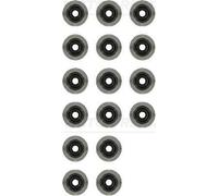 Victor Reinz 12-35549-01 Valve Stem Seal Set Fits Citroen Relay MK2 Van BUS