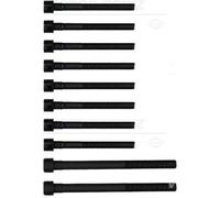 REINZ 14-55097-01 Bolt Kit, cylinder head