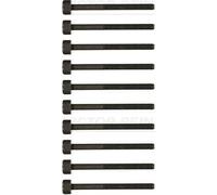 Victor Reinz Cylinder Head Bolt Set M10