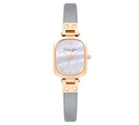 VICTORIA HYDE Dainty Women's Rectangular Watches for Women Quartz Movement with Stainless Steel or Leather Strap (Gray)