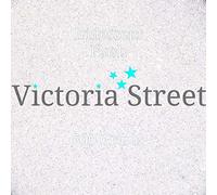 Victoria Street Glitter - Iridescent Flash - Fine 0.008" / 0.2mm (Silver White)[25 Grams]