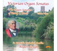 Rupert Gough - Victorian Organ Sonatas, Vol 3/ Organ of St.Patrick's cathedral, Dublin