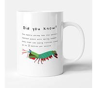 Victorian Printing Co - Did You Know? Mantis Shrimp Punch - Animal Fact Gift Mug, Ceramic, 11fl.oz.
