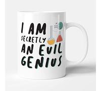 Victorian Printing Co - I Am Secretly an Evil Genius - Funny Gift Mug, Ceramic, 11fl.oz.