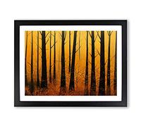 Victorious Autumn Forest Framed Print | A2 Black Framed Wall Art | Ready to Hang | Modern Landscape Picture | Living Room Bedroom Lounge Office