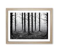 Victorious Forest Framed Print | A4 Oak Framed Wall Art | Ready to Hang | Modern Landscape Picture | Living Room Bedroom Lounge Office