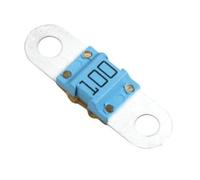 Victron Energy MIDI-fuse 100A/58V for 48V Products (1-pack)
