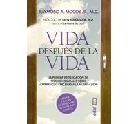 Vida Despues de la Vida -V3*