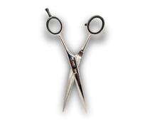 Vida Goods Hair Scissor 6" Professional Hair Cutting Scissors for Salon & Home Use Stainless Steel Barber Shears for Men, Women, Children & Adults (Silver Polished, 6 Inches)