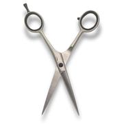 Vida Goods Hair Scissor 6" Professional Hair Cutting Scissors for Salon & Home Use Stainless Steel Barber Shears for Men, Women, Children & Adults (Silver Satin, 6.5 Inches)