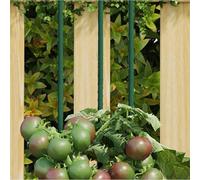vidaXL 180 cm Steel Garden Plant Stakes, Set of 30, Green - Supportive Aid for Indoor/Outdoor Climbing Plants & Flowers