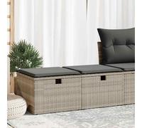 vidaXL 2 Piece Garden Sofa Set with Cushions Light Grey Poly Rattan Acacia