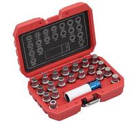 vidaXL 21-Piece Wheel Lock Socket Set - Chrome Molybdenum Steel Dismantling Tool for BMW Vehicles with Convenient Storage Case