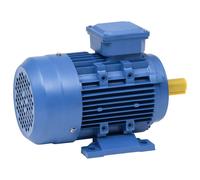vidaXL 3 Phase Electric Motor - Durable Aluminium, High-Speed 2840 RPM, 2.2kW/3HP Power, 2 Pole, IP44 Protection Rating, Ideal for Compressors, Pulley Drives, Pump Drives and More