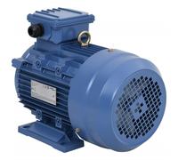 vidaXL 3 Phase Electric Motor Aluminium 4kW/5.5HP 2 Pole 2840 RPM Compressor