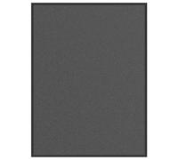 vidaXL anthracite doormat 80x120 cm - non-slip indoor/outdoor entryway rug, moisture-absorbing floor mat with durable polypropylene tufted surface and versatile porch/mudroom use