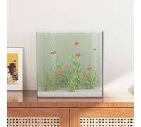 vidaXL Aquarium with Storage Transparent 30 x 30 x 30 cm Glass, A Rectangular, Modern, Durable Design for Home or Office, for Functional Spaces, Strong Structure, Easy to Maintain