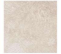 vidaXL Area Rugs Square PALMERAS Beige 240 x 240 cm Polyester, Modern Area Carpet, Non-Slip Design for Living Room, Outdoor Rug, Soft Touch Mat, Durable and Easy Maintenance Floor Cover