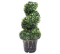 vidaXL Artificial Boxwood Spiral Plant with Pot - 59 cm Decorative Faux Greenery for Home, Office & Garden - Weather-Resistant Polyethylene
