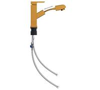 vidaXL Bathroom Basin Faucet with Pull-Out Function, Gold 157x172 mm - Brass Construction, Stainless Steel, ABS, Pull-Out Spec Functionality, Connection Hose Design