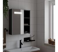 vidaXL Bathroom Mirror Cabinet with LED Light Black 45x13x52 cm
