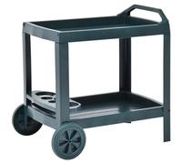 vidaXL Beverage Cart Green 69x53x72 cm Plastic