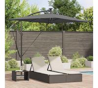 vidaXL Cantilever Banana Parasol Anthracite 294 x 200 x 254 cm