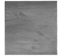 vidaXL Rug OVIEDO Short Pile - 240x240 cm Square Polyester Area Rug, Anthracite, Super Soft Texture, Easy-Clean, Compatible with Underfloor Heating