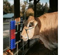 vidaXL Cattle Brushes Red and Blue 50 x 10 x 6.5 cm Plastic and Steel