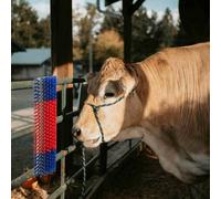 vidaXL Cattle Brushes Red and Blue 50 x 17 x 9 cm Plastic and Steel